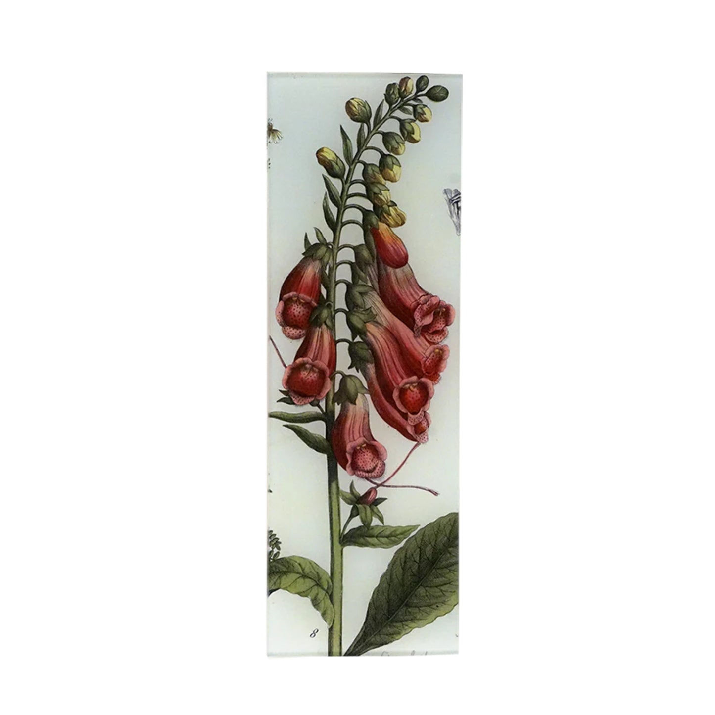 John Derian Decoupage Tray Foxglove - La Petite Maison